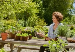 Gardena Soft Spray 450ml 19 Gardena Soft Spray 450ml -Gardena Store 970476801 gardena soft spray 450ml 7