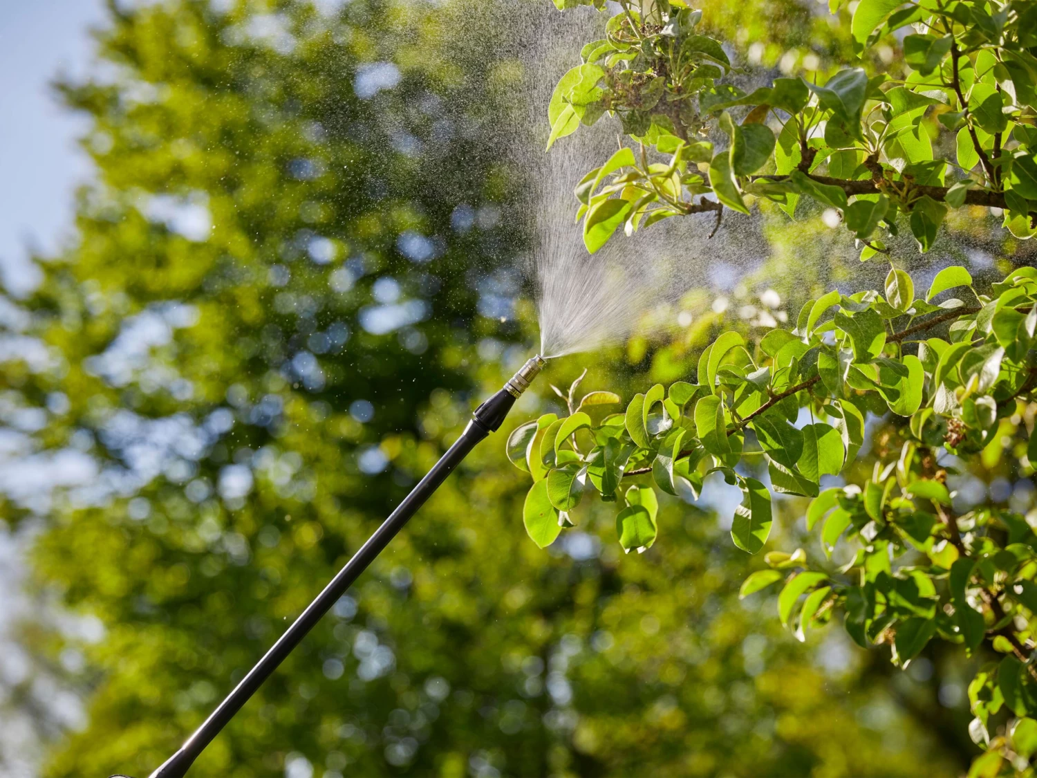 Gardena Backpack Sprayer 12L 9 Gardena Backpack Sprayer 12L - Image 7