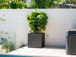 Cubo Fiberstone Planter Black 343L 7 Cubo Fiberstone Planter Black 343L -Gardena Store 971545 cubo fiberstone planter black 343l 2 1