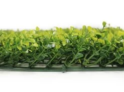 Artificial Hedge Wall Boxwood Spring Growth 3m²