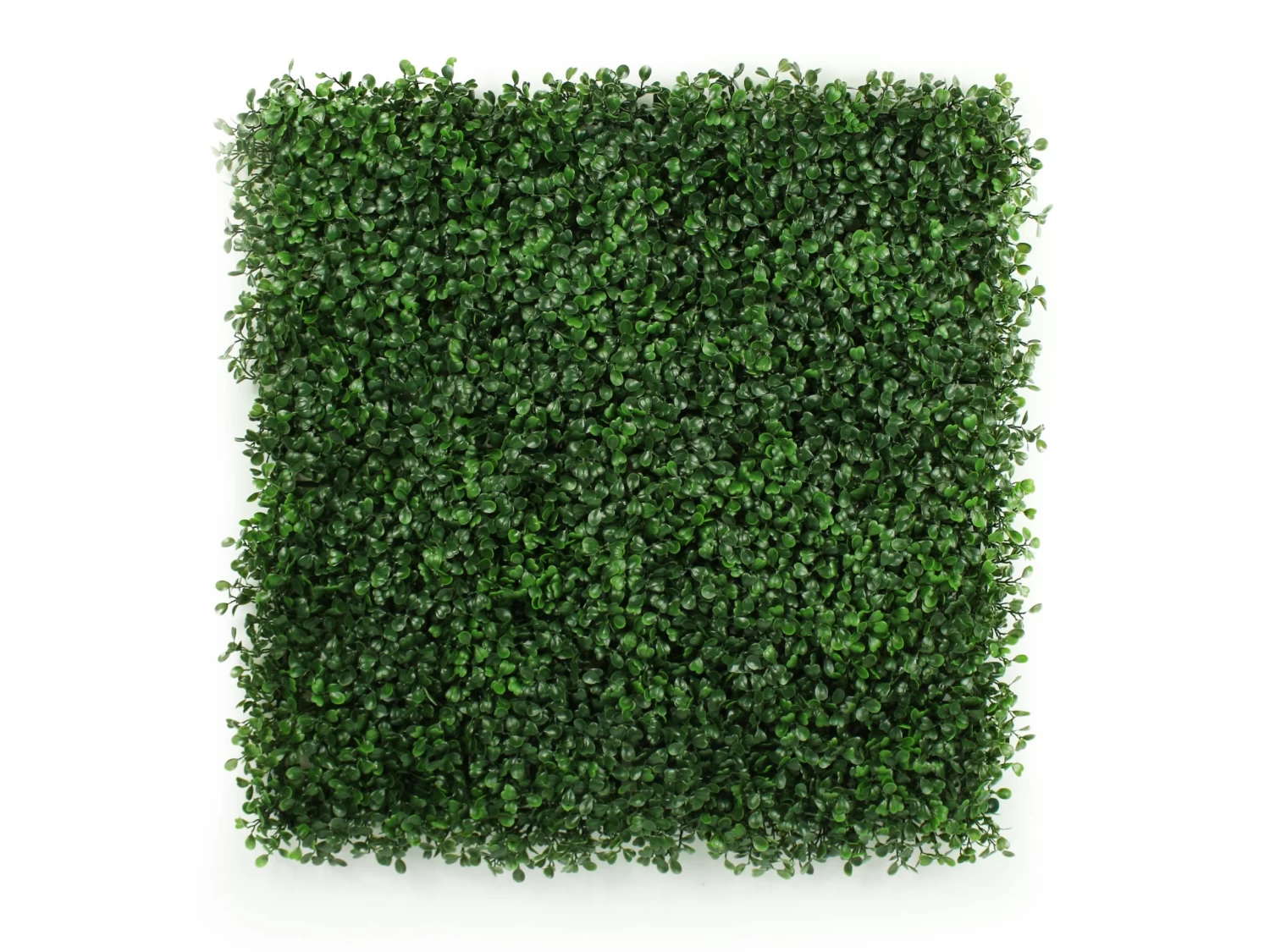 Artificial Hedge Wall Creeping Fuschia 3m² 3 Artificial Hedge Wall Creeping Fuschia 3m²