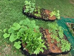 Fabric Raised Garden Bed - 8 Pockets -Gardena Store 977382 fabric raised garden bed 8 pockets 4