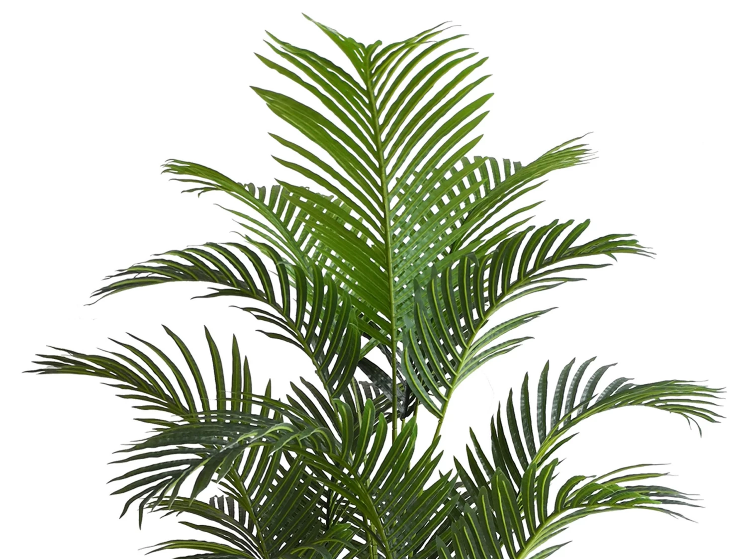Artificial Tree Hawaiian Palm 180cm 4 Artificial Tree Hawaiian Palm 180cm - Image 2