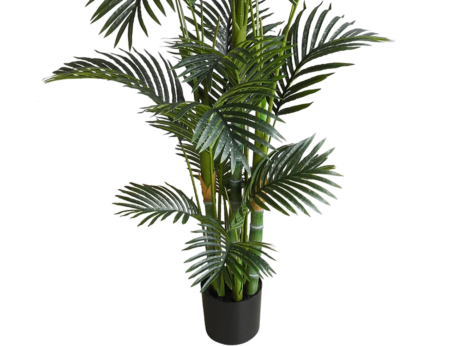 Artificial Tree Hawaiian Palm 180cm 3 Artificial Tree Hawaiian Palm 180cm