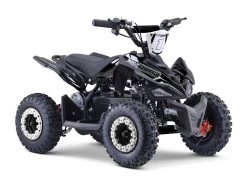 Kids Mini Quad Bike 800W Electric Black