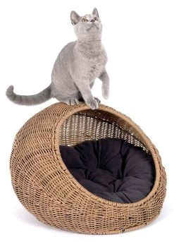 Fetch Wicker Cat Cave