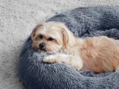 Fetch Calming Pet Bed XL