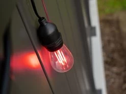 Festoon Lights Red Filament Replacement Bulbs - 6 Pack