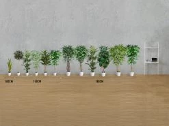 Artificial Tree Weeping Fig Ficus 180cm -Gardena Store artificial tree size comparison 1d 3