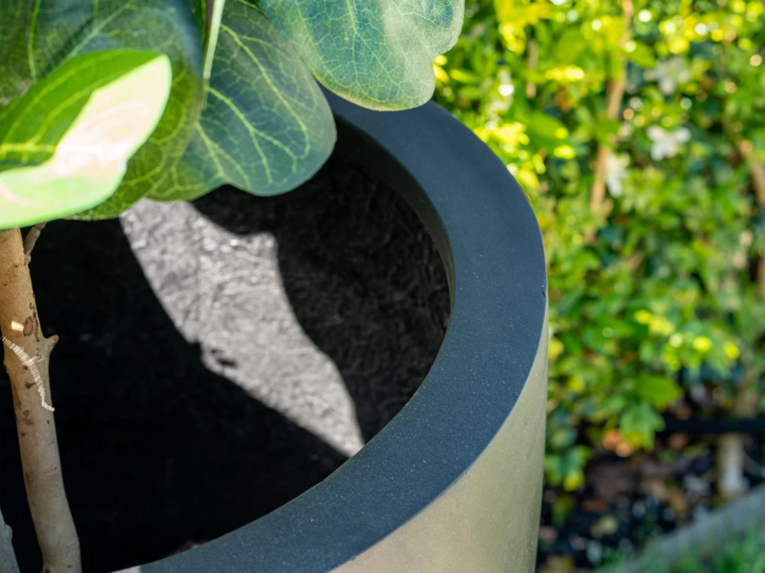 Classica Fiberstone Planter Black 195L 4 Classica Fiberstone Planter Black 195L - Image 2