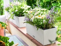 Lechuza Balconera Cottage Planter 50 - White -Gardena Store cottage50white2