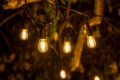 Festoon Lights LED 5m With 10 Filament Bulbs -Gardena Store festoon lights insitu 1 web