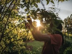 Fiskars Bypass Secateurs Euro -Gardena Store fk210235 fiskars bypass secateurs euro 10b