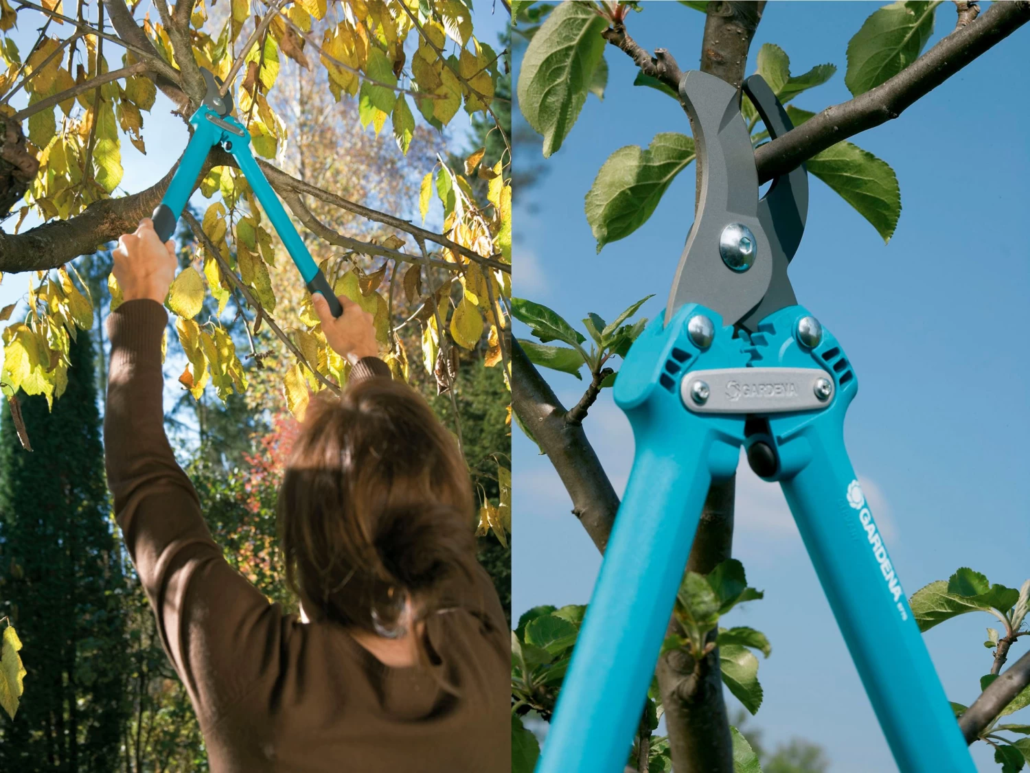 Gardena Comfort Bypass Pruning Loppers 500 BL 5 Gardena Comfort Bypass Pruning Loppers 500 BL - Image 3