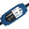 Hyundai Smart Charger 12V 15A + 24V 7A+3.5A -Gardena Store hysc 15000 hyundai smart charger 12v 15a 24v 7a 3.5a 1b