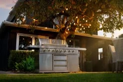 Festoon Lights LED 5m With 10 Filament Bulbs -Gardena Store longhorn sunrays wideshot