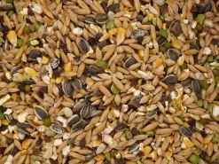 Topflite Scratch And Lay 20kg