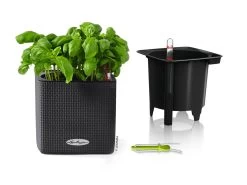 Lechuza Cube Planter Colour 14 - Slate