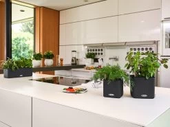 Lechuza Cube Planter Colour 14 - Slate -Gardena Store slate cube 2