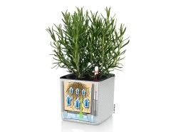 Lechuza Cube Planter Colour 14 - Slate -Gardena Store slate cube 4