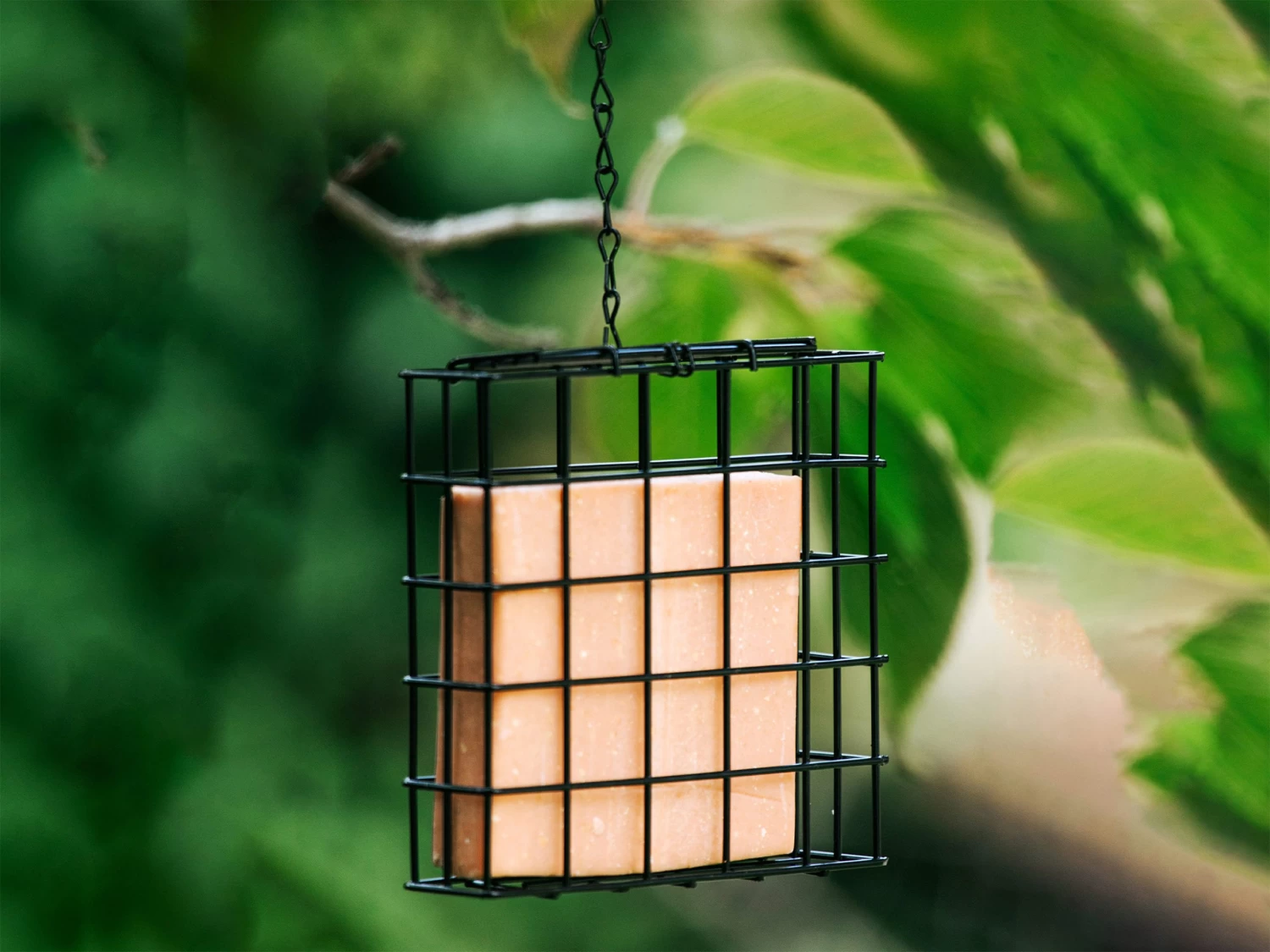 Topflite Wild Bird Feeder Welcome Kit 7 Topflite Wild Bird Feeder Welcome Kit - Image 5