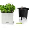 Lechuza Cube Planter Colour 14 - White -Gardena Store white cube 1