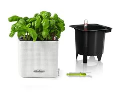 Lechuza Cube Planter Colour 14 - White