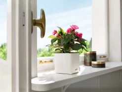 Lechuza Cube Planter Colour 14 - White -Gardena Store white cube 2