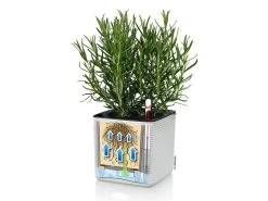Lechuza Cube Planter Colour 14 - White -Gardena Store white cube 5